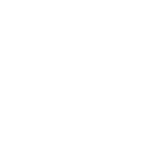 Escut Sferic Bàsquet